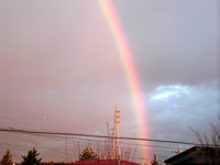 �z�[���n�C�|�j�J�@�ƒ�؉�